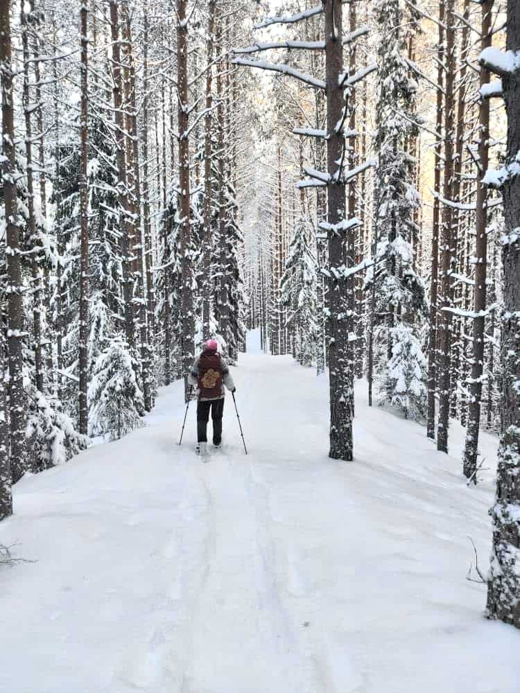 Lumikenkäilyä harjumaastossa